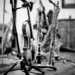 TELEMANN SESSION - JUDENBURG, AUSTRIA 2012